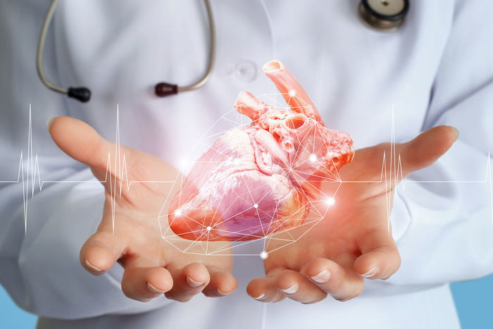 Kardiologie Dresden